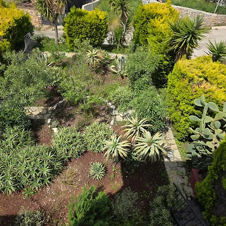 Sevinc Akasya House Lejlighed Milas