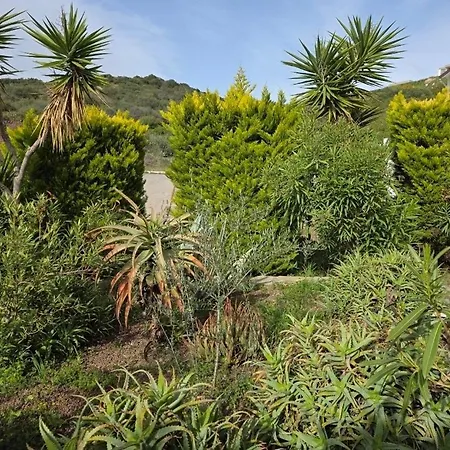 Sevinc Akasya House Appartamento