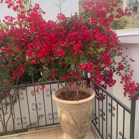 Sevinc Akasya House * Milas