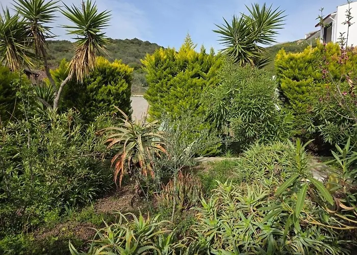 Sevinc Akasya House Lejlighed