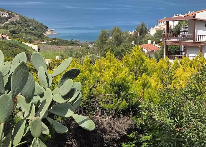 Sevinc Akasya House Appartamento