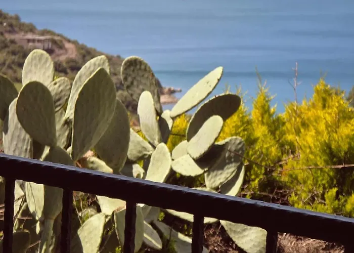 Sevinc Akasya House Lejlighed Milas