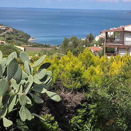 Sevinc Akasya House Διαμέρισμα