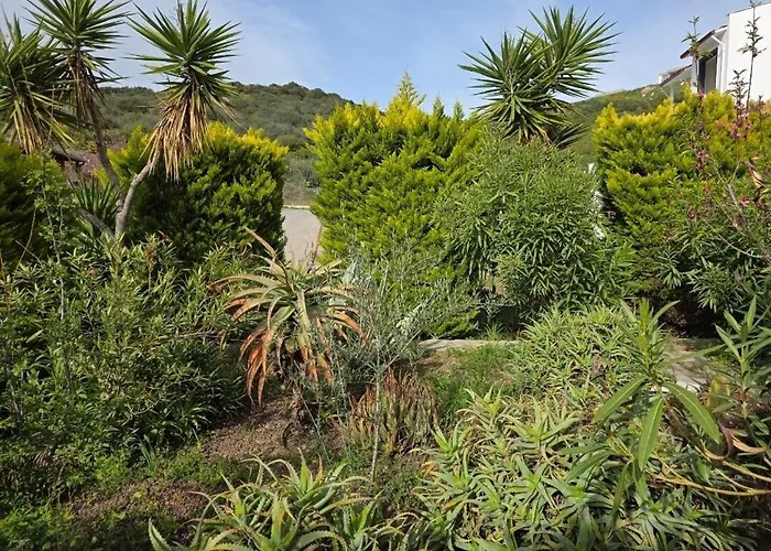 Sevinc Akasya House * Milas