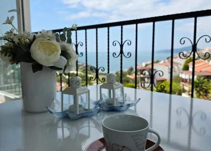 Sevinc Akasya House *